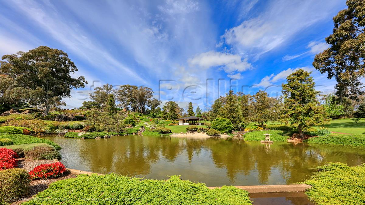 Peter Bellingham Photography Japanese Garden - Cowra